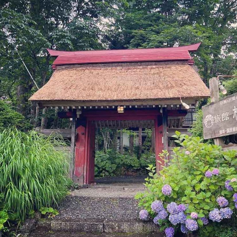 戸隠の茅