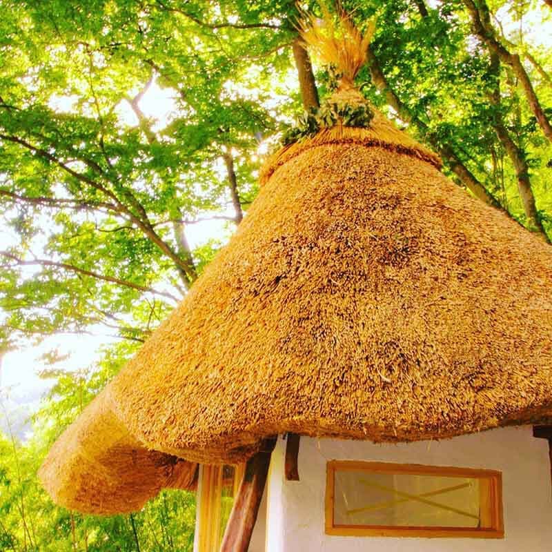 デザインとしての茅葺き
